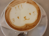 カフェオスピターレ: わるねこさんの2026年08月27日の1枚目の投稿写真