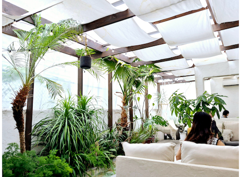 &t cafe: hopperさんの2025年11月18日の2枚目の投稿写真