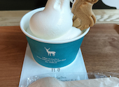 TNOC THE CAFE SAPPORO T4 ティーノックザカフェサッポロティーフォー: こんちゃんさんの2026年08月06日の1枚目の投稿写真