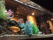 京野菜と旬鮮魚 京兵衛 立川店: アミュウさんの2018年07月10日の1枚目の投稿写真