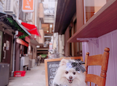 parfait de ruelle パフェ ド リュエル: のんちゃんさんの2026年09月07日の2枚目の投稿写真