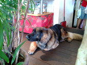 R cafe: くんちゃんさんの2008年10月04日の1枚目の投稿写真