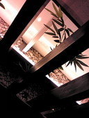 鹿児島産黒豚しゃぶしゃぶ本舗　まん 心斎橋店: ゆずきさんの2009年09月02日の2枚目の投稿写真