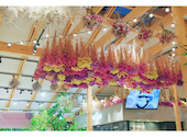 bloom&brew ブルームアンドブリュー: みゆさんの2020年08月22日の1枚目の投稿写真