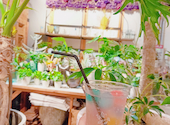 bloom&brew ブルームアンドブリュー: みゆさんの2020年08月22日の2枚目の投稿写真