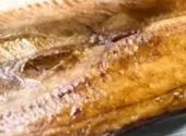 炉端焼きと海鮮料理 完全個室居酒屋 炉ばた一心 秋葉原店: よっきーさんの2026年10月07日の1枚目の投稿写真