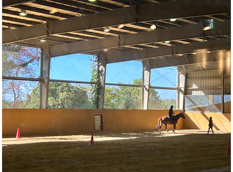 森の小径: えりさんの2025年11月23日の2枚目の投稿写真