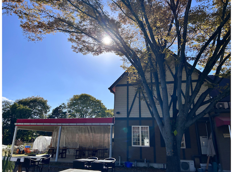 森の小径: えりさんの2025年11月23日の3枚目の投稿写真