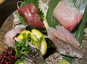 西新宿　魚たか　: ぴょんさんの2023年05月の1枚目の投稿写真
