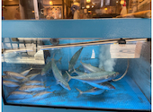 さかな酒場 魚星 中野駅北口店: kannyaさんの2026年04月30日の1枚目の投稿写真