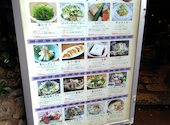 島唄と地料理 とぅばらーま 国際通り店: くみさんの2026年05月24日の3枚目の投稿写真
