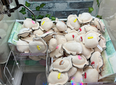 かっぱ寿司 松坂三雲店: いとうさんの2026年08月01日の1枚目の投稿写真