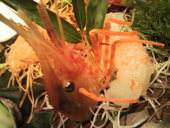 すし屋のさい藤: レノンさんの2011年05月27日の2枚目の投稿写真