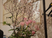 GARB DRESSING　京橋　ガーブ ドレッシング: カオちゃんさんの2024年04月の1枚目の投稿写真
