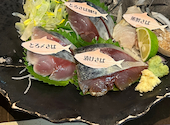 とろさば料理専門店 SABAR 阪急三番街店: みくさんの2024年09月22日の1枚目の投稿写真