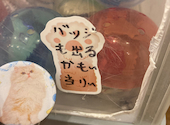 猫カフェ クラウド: 四ツ葉さんの2026年06月18日の1枚目の投稿写真