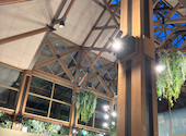 Botanical Restaurant BOTANIQ KAJIYA ボタニカジヤ: ねむごろうさんの2026年04月25日の3枚目の投稿写真