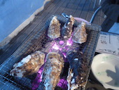 THE BEACH 百道浜: yumirin221さんの2014年02月07日の2枚目の投稿写真