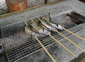 岡田養魚場: じっぷさんの2026年07月20日の2枚目の投稿写真