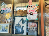 居酒屋こたろう: haruyamaさんの2026年07月02日の1枚目の投稿写真