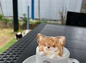 toichipancake トイチパンケーキ: RUNさんの2024年03月21日の1枚目の投稿写真