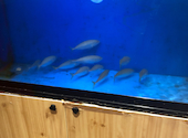 海鮮居酒屋 はなの舞 プレナ幕張店: まつゆきさんの2026年03月08日の2枚目の投稿写真