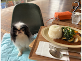 Evergreen Cafe エバーグリーン カフェ: ☆☆☆ちゃんさんの2026年04月24日の1枚目の投稿写真