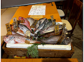 酒と魚屋とまぐろ 魚吉段平: ろっこさんの2026年05月26日の2枚目の投稿写真