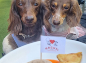 Restaurant HACHI ハチ 長町店: viviさんの2026年05月20日の1枚目の投稿写真