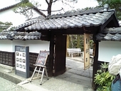 レストラン亀遊亭: yunさんの2007年04月08日の1枚目の投稿写真