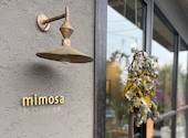 うつわとcafe mimosa: のんさんの2026年06月30日の1枚目の投稿写真