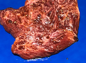 炭火焼肉 いけだまさし 東刈谷: 匿名さんの2026年06月13日の2枚目の投稿写真