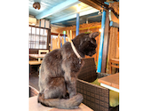 Rumah Cafe　（ルマカフェ）: こまめさんの2024年06月の1枚目の投稿写真