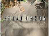 TOLAH UMEDA(トーラ): Haaaalu421さんの2025年11月の1枚目の投稿写真
