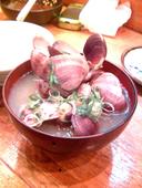 天市: tomoさんの2008年05月15日の3枚目の投稿写真