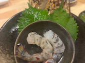 魚々 うおうお: チョコさんの2026年09月03日の2枚目の投稿写真