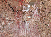 HAUTE COUTURE CAFE omotesando オートクチュールカフェオモテサンドウ: ゆうちゃんさんの2026年08月18日の3枚目の投稿写真