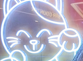 金のまねきねこ 有楽町店: すいとぽぷさんの2026年07月05日の3枚目の投稿写真
