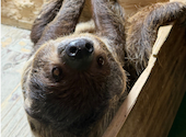 フクロウの巣カフェ: erienaさんの2026年08月12日の3枚目の投稿写真