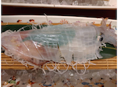 博多 魚蔵 都ホテル店: coolmonさんの2026年08月02日の2枚目の投稿写真