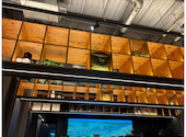 TNOC THE CAFE SAPPORO T4 ティーノックザカフェサッポロティーフォー: nekoさんの2026年08月22日の2枚目の投稿写真