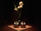 カフェバーふくろう: シネマ大好き娘さんの2011年02月13日の3枚目の投稿写真