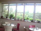 カフェ ジャルダン: シネマ大好き娘さんの2011年09月17日の3枚目の投稿写真