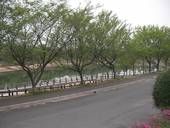 喫茶グリーンハウス: ディバインさんの2011年05月03日の2枚目の投稿写真