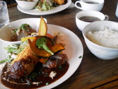 屋島テニスクラブカフェデュース: てつくんとミントとちまきときなこちゃんさんの2011年12月06日の1枚目の投稿写真