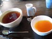 屋島テニスクラブカフェデュース: てつくんとミントとちまきときなこちゃんさんの2011年12月06日の2枚目の投稿写真