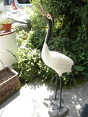 ツルカメ食堂: てつくんとミントとちまきときなこちゃんさんの2011年09月15日の1枚目の投稿写真