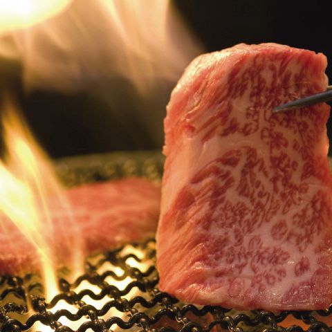 食べ放題 東京でお手頃価格で楽しめる焼肉店おすすめ19選 東京焼肉マガジン Hot Pepperグルメwebマガジン